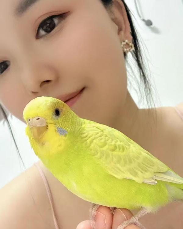 图片1