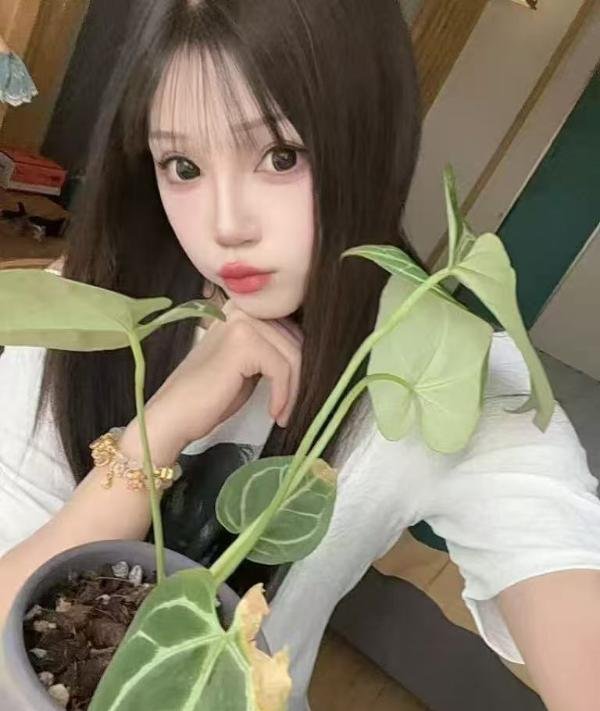图片1